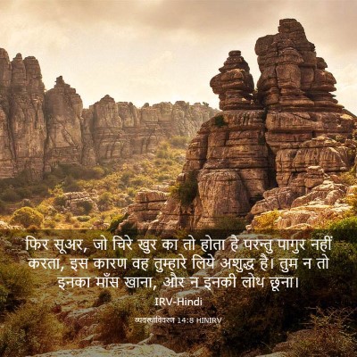 Picture 03 - व्यवस्थाविवरण 14:8 HINIRV - फिर सूअर, जो चिरे - Bible Verse Picture