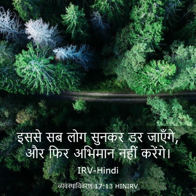 Picture 03 - व्यवस्थाविवरण 17:13 HINIRV - इससे सब लोग सुनकर - Bible Verse Picture