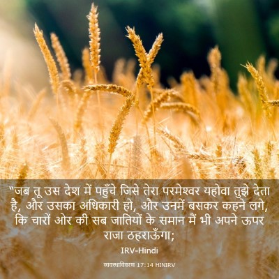 Picture 03 - व्यवस्थाविवरण 17:14 HINIRV - “जब तू उस देश में - Bible Verse Picture