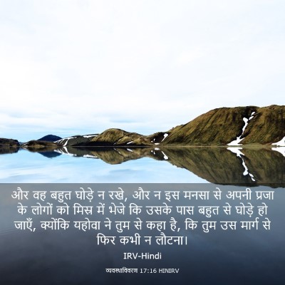 Picture 03 - व्यवस्थाविवरण 17:16 HINIRV - और वह बहुत घोड़े न - Bible Verse Picture