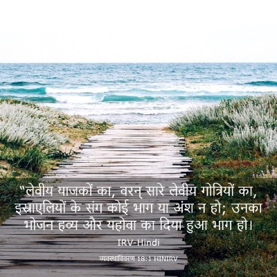 Picture 03 - व्यवस्थाविवरण 18:1 HINIRV - “लेवीय याजकों का, - Bible Verse Picture