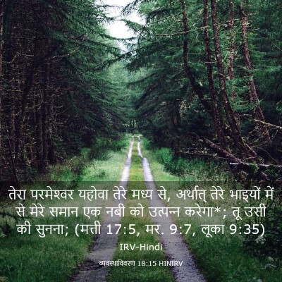 Picture 03 - व्यवस्थाविवरण 18:15 HINIRV - तेरा परमेश्‍वर - Bible Verse Picture