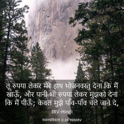 Picture 03 - व्यवस्थाविवरण 2:28 HINIRV - तू रुपया लेकर मेरे - Bible Verse Picture