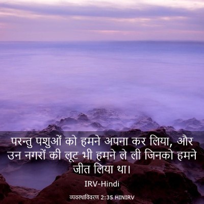 Picture 03 - व्यवस्थाविवरण 2:35 HINIRV - परन्तु पशुओं को - Bible Verse Picture
