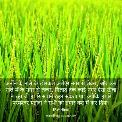 Picture 03 - व्यवस्थाविवरण 2:36 HINIRV - अर्नोन के नाले के - Bible Verse Picture