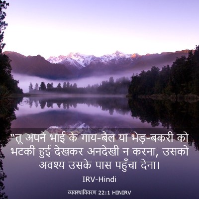 Picture 03 - व्यवस्थाविवरण 22:1 HINIRV - “तू अपने भाई के - Bible Verse Picture