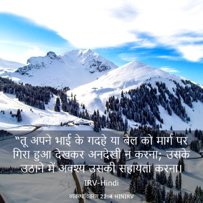 Picture 03 - व्यवस्थाविवरण 22:4 HINIRV - “तू अपने भाई के - Bible Verse Picture