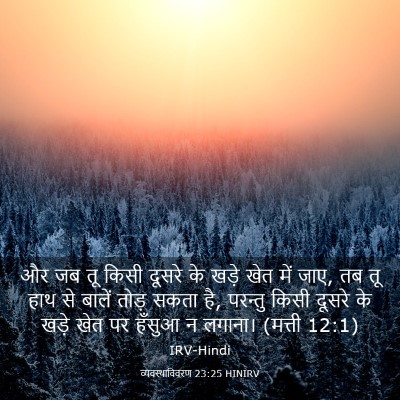 Picture 03 - व्यवस्थाविवरण 23:25 HINIRV - और जब तू किसी दूसरे - Bible Verse Picture