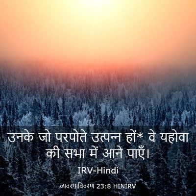 Picture 03 - व्यवस्थाविवरण 23:8 HINIRV - उनके जो परपोते - Bible Verse Picture