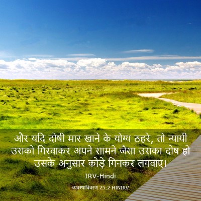 Picture 03 - व्यवस्थाविवरण 25:2 HINIRV - और यदि दोषी मार - Bible Verse Picture