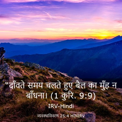Picture 03 - व्यवस्थाविवरण 25:4 HINIRV - “दाँवते समय चलते - Bible Verse Picture