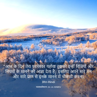 Picture 03 - व्यवस्थाविवरण 26:16 HINIRV - “आज के दिन तेरा - Bible Verse Picture