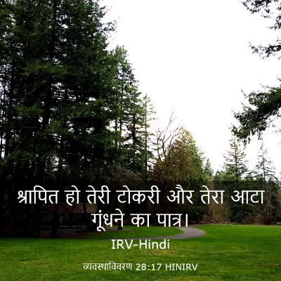 Picture 03 - व्यवस्थाविवरण 28:17 HINIRV - श्रापित हो तेरी - Bible Verse Picture