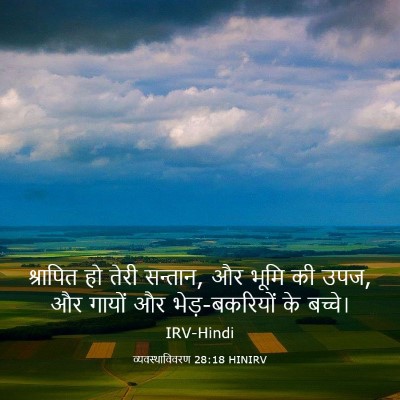 Picture 03 - व्यवस्थाविवरण 28:18 HINIRV - श्रापित हो तेरी - Bible Verse Picture