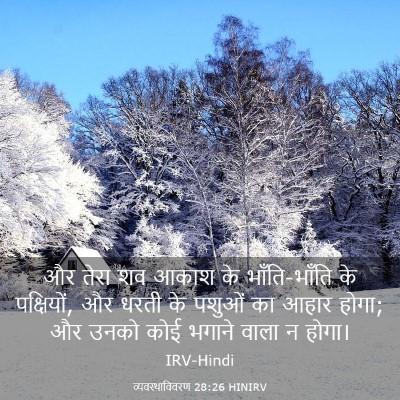 Picture 03 - व्यवस्थाविवरण 28:26 HINIRV - और तेरा शव आकाश के - Bible Verse Picture