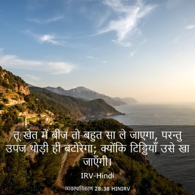 Picture 03 - व्यवस्थाविवरण 28:38 HINIRV - तू खेत में बीज तो - Bible Verse Picture