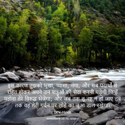 Picture 03 - व्यवस्थाविवरण 28:48 HINIRV - इस कारण तुझको भूखा, - Bible Verse Picture