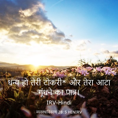 Picture 03 - व्यवस्थाविवरण 28:5 HINIRV - धन्य हो तेरी टोकरी* - Bible Verse Picture