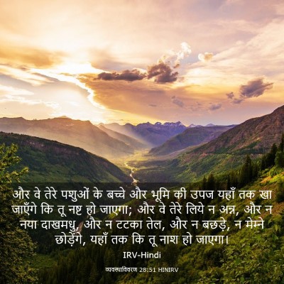Picture 03 - व्यवस्थाविवरण 28:51 HINIRV - और वे तेरे पशुओं के - Bible Verse Picture