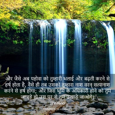 Picture 03 - व्यवस्थाविवरण 28:63 HINIRV - और जैसे अब यहोवा को - Bible Verse Picture