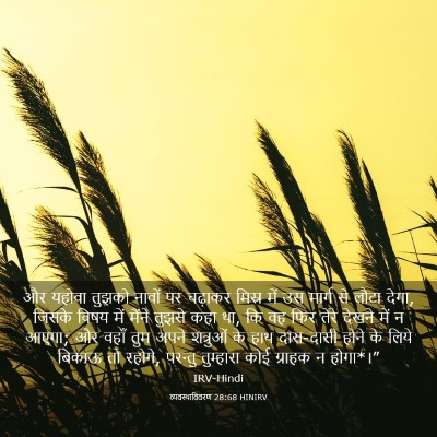 Picture 03 - व्यवस्थाविवरण 28:68 HINIRV - और यहोवा तुझको - Bible Verse Picture