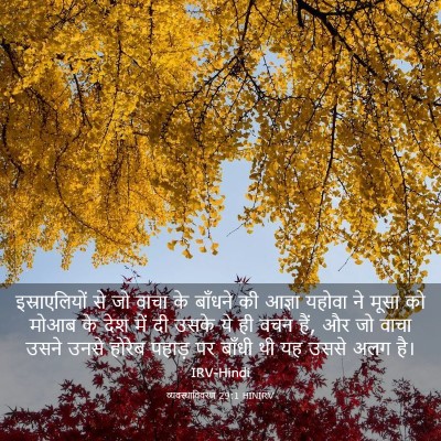 Picture 03 - व्यवस्थाविवरण 29:1 HINIRV - इस्राएलियों से जो - Bible Verse Picture
