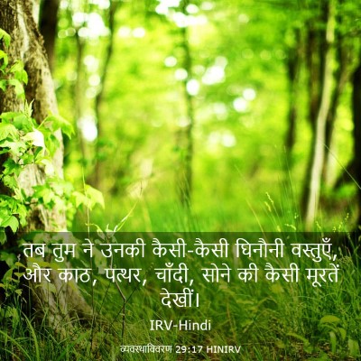 Picture 03 - व्यवस्थाविवरण 29:17 HINIRV - तब तुम ने उनकी - Bible Verse Picture