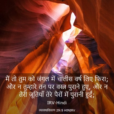 Picture 03 - व्यवस्थाविवरण 29:5 HINIRV - मैं तो तुम को जंगल - Bible Verse Picture