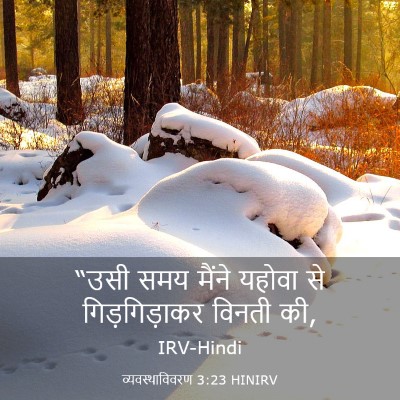 Picture 03 - व्यवस्थाविवरण 3:23 HINIRV - “उसी समय मैंने - Bible Verse Picture