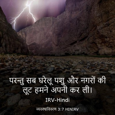Picture 03 - व्यवस्थाविवरण 3:7 HINIRV - परन्तु सब घरेलू - Bible Verse Picture