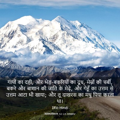 Picture 03 - व्यवस्थाविवरण 32:14 HINIRV - गायों का दही, और - Bible Verse Picture