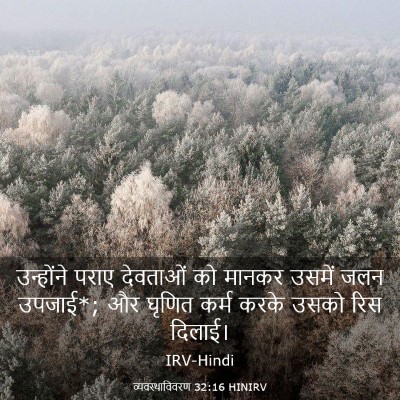 Picture 03 - व्यवस्थाविवरण 32:16 HINIRV - उन्होंने पराए - Bible Verse Picture