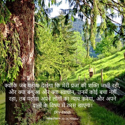 Picture 03 - व्यवस्थाविवरण 32:36 HINIRV - क्योंकि जब यहोवा - Bible Verse Picture