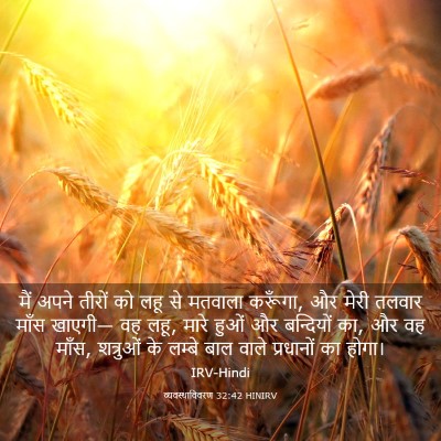 Picture 03 - व्यवस्थाविवरण 32:42 HINIRV - मैं अपने तीरों को - Bible Verse Picture