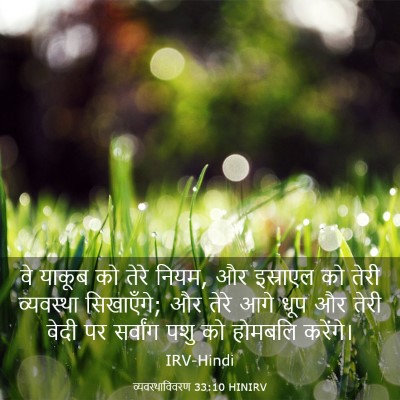 Picture 03 - व्यवस्थाविवरण 33:10 HINIRV - वे याकूब को तेरे - Bible Verse Picture