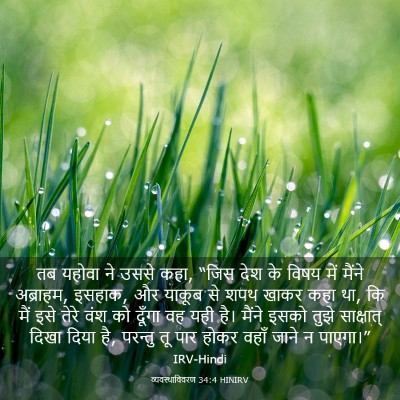 Picture 03 - व्यवस्थाविवरण 34:4 HINIRV - तब यहोवा ने उससे - Bible Verse Picture
