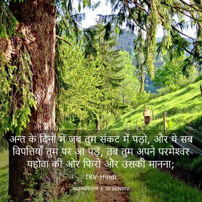Picture 03 - व्यवस्थाविवरण 4:30 HINIRV - अन्त के दिनों में - Bible Verse Picture