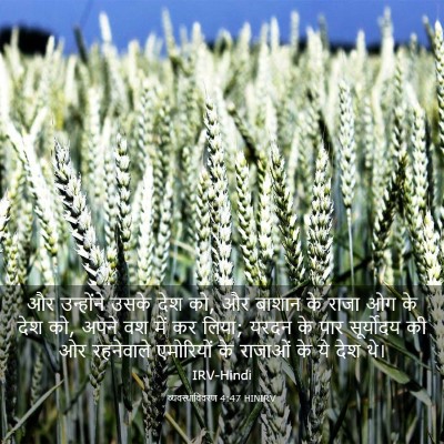 Picture 03 - व्यवस्थाविवरण 4:47 HINIRV - और उन्होंने उसके - Bible Verse Picture