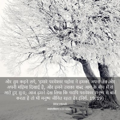 Picture 03 - व्यवस्थाविवरण 5:24 HINIRV - और तुम कहने लगे, - Bible Verse Picture