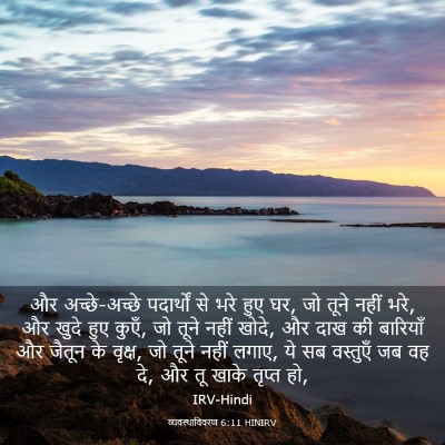 Picture 03 - व्यवस्थाविवरण 6:11 HINIRV - और अच्छे-अच्छे - Bible Verse Picture