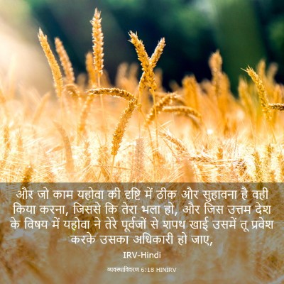 Picture 03 - व्यवस्थाविवरण 6:18 HINIRV - और जो काम यहोवा की - Bible Verse Picture