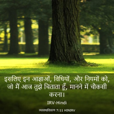 Picture 03 - व्यवस्थाविवरण 7:11 HINIRV - इसलिए इन आज्ञाओं, - Bible Verse Picture