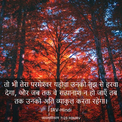 Picture 03 - व्यवस्थाविवरण 7:23 HINIRV - तो भी तेरा - Bible Verse Picture