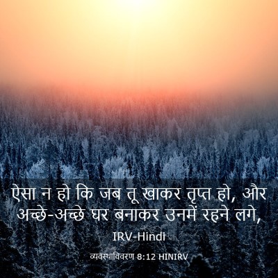 Picture 03 - व्यवस्थाविवरण 8:12 HINIRV - ऐसा न हो कि जब तू - Bible Verse Picture