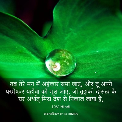 Picture 03 - व्यवस्थाविवरण 8:14 HINIRV - तब तेरे मन में - Bible Verse Picture
