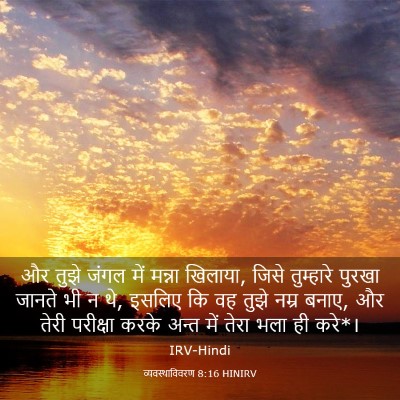 Picture 03 - व्यवस्थाविवरण 8:16 HINIRV - और तुझे जंगल में - Bible Verse Picture