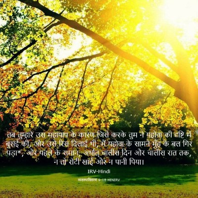 Picture 03 - व्यवस्थाविवरण 9:18 HINIRV - तब तुम्हारे उस - Bible Verse Picture