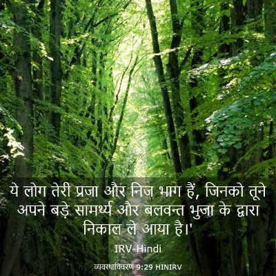 Picture 03 - व्यवस्थाविवरण 9:29 HINIRV - ये लोग तेरी प्रजा - Bible Verse Picture