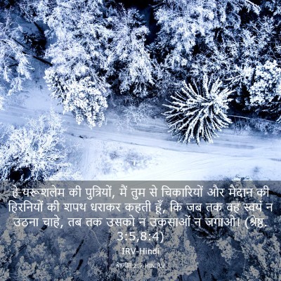 Picture 03 - श्रेष्ठगीत 2:7 HINIRV - हे यरूशलेम की - Bible Verse Picture