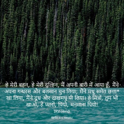 Picture 03 - श्रेष्ठगीत 5:1 HINIRV - हे मेरी बहन, हे - Bible Verse Picture